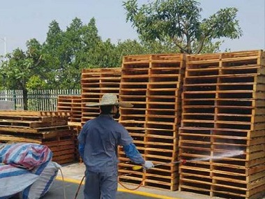 雅瑶杀灭白蚁有用哪些方法不会影响健康