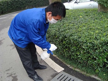 狮岭四害消杀蟑螂、蚊子怕什么?如何驱除蚊虫