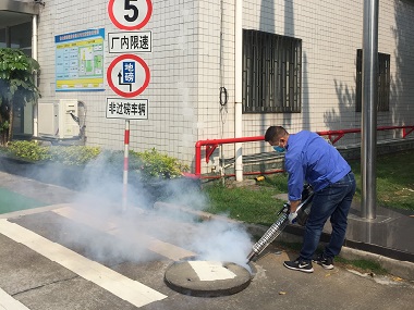 花都害虫防控公司定期进行场所消杀除虫的好处